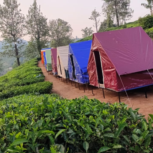 TENT PER HEAD 
