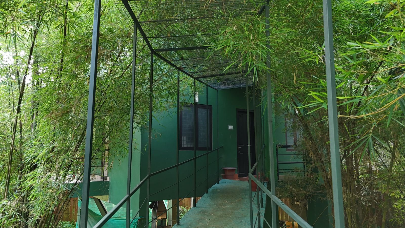 BAMBOO PLANET 