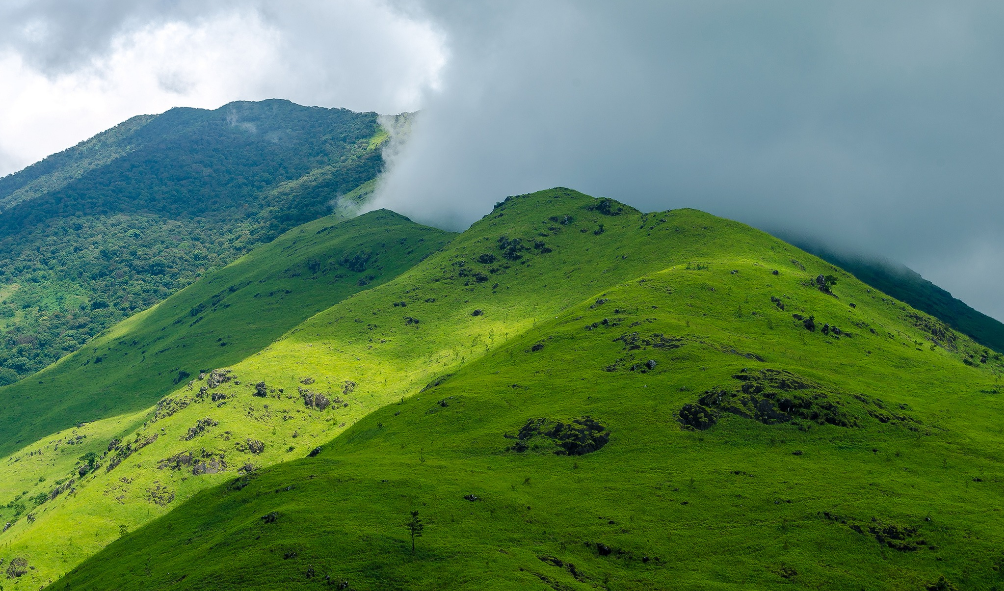 BANASURA TREKKING 