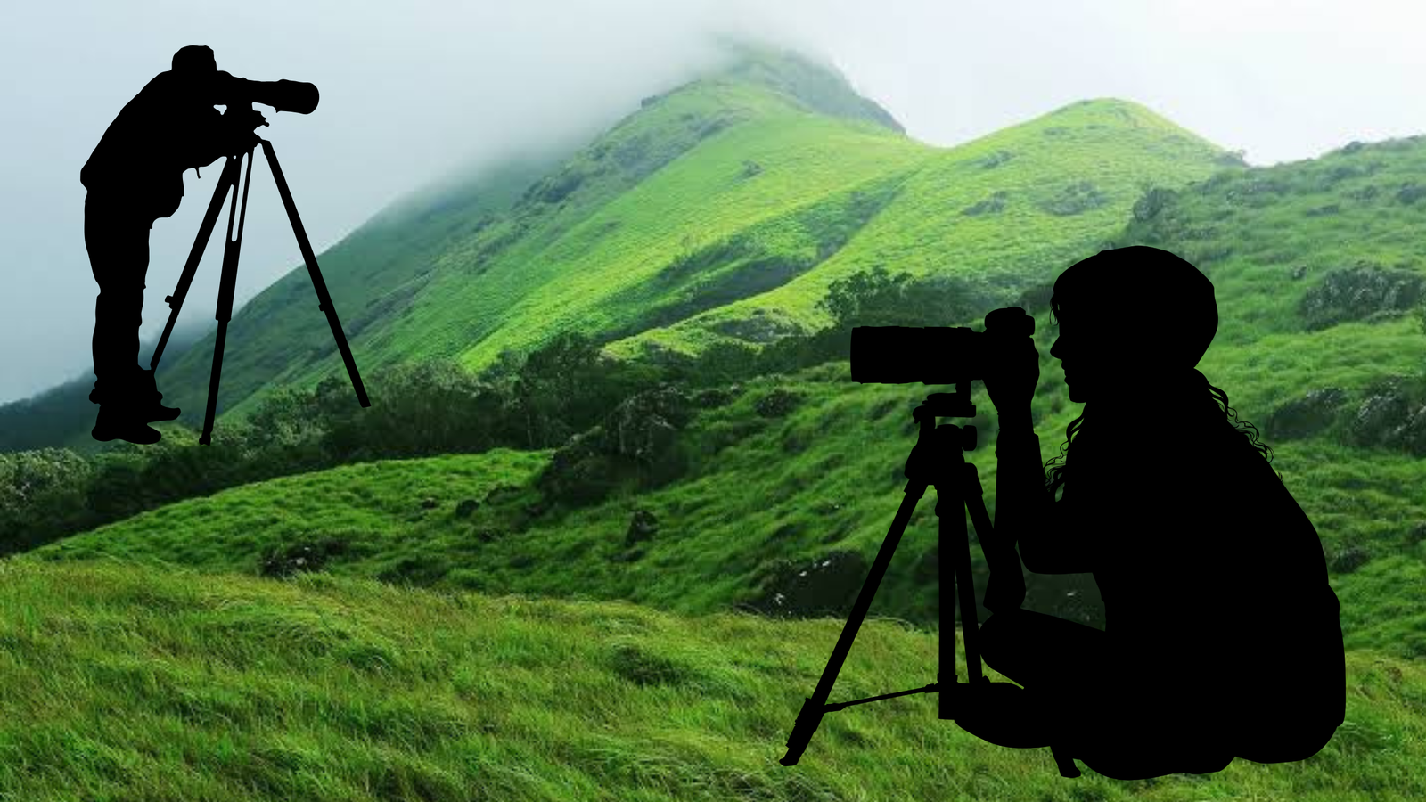WAYANAD VLOGS 